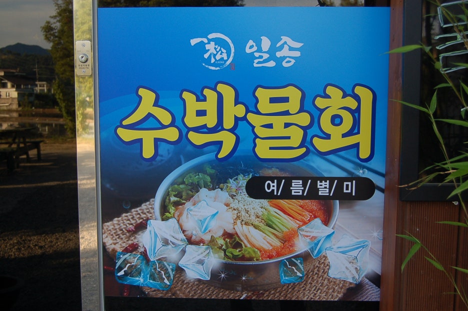 일송일식 이미지