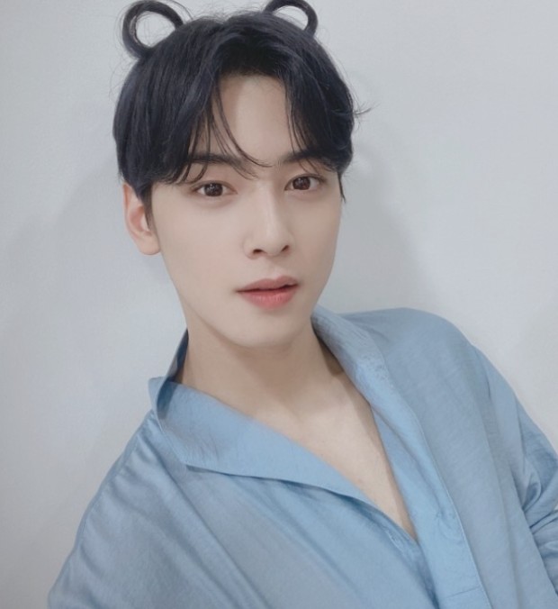 프리모디자인 이미지