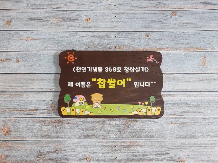 나무와간판 이미지