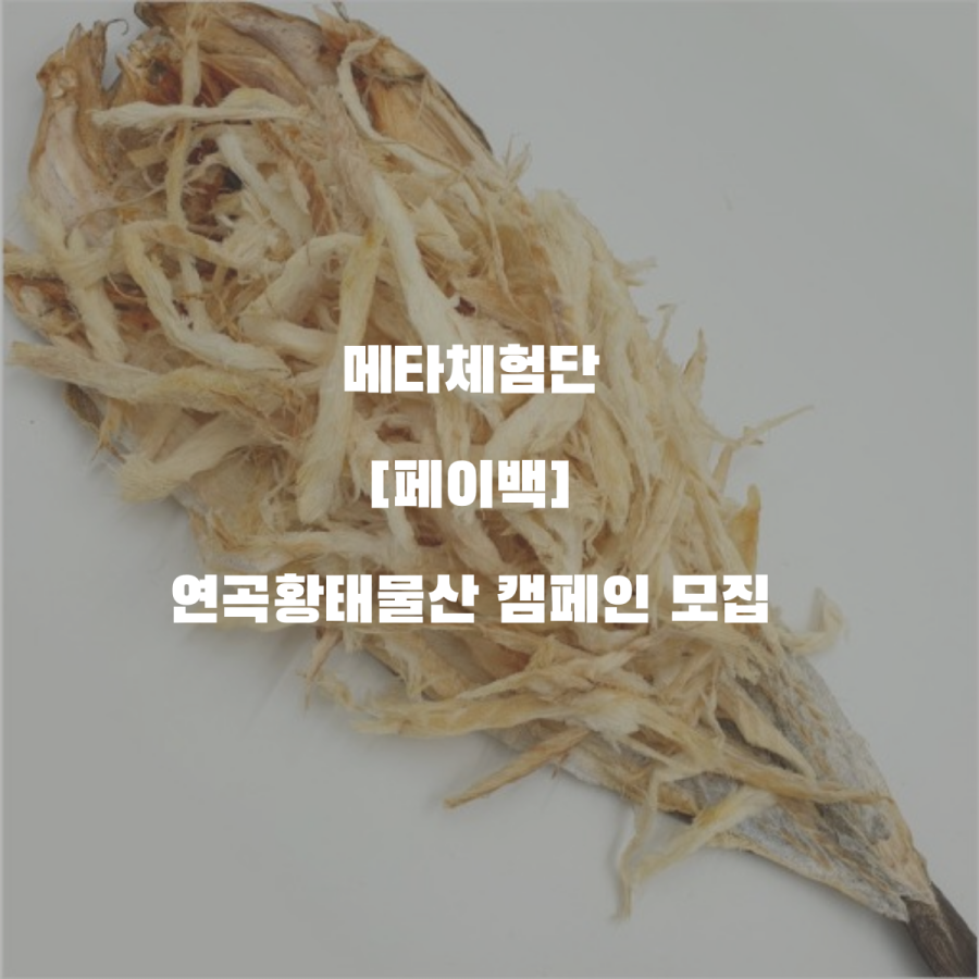연곡황태 이미지