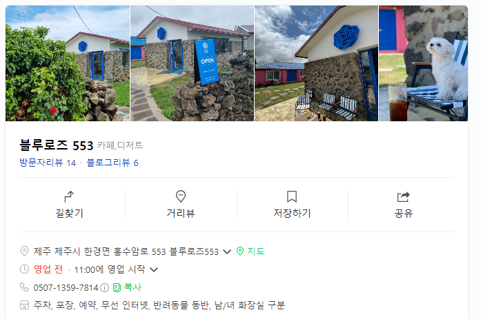 블루로즈 이미지