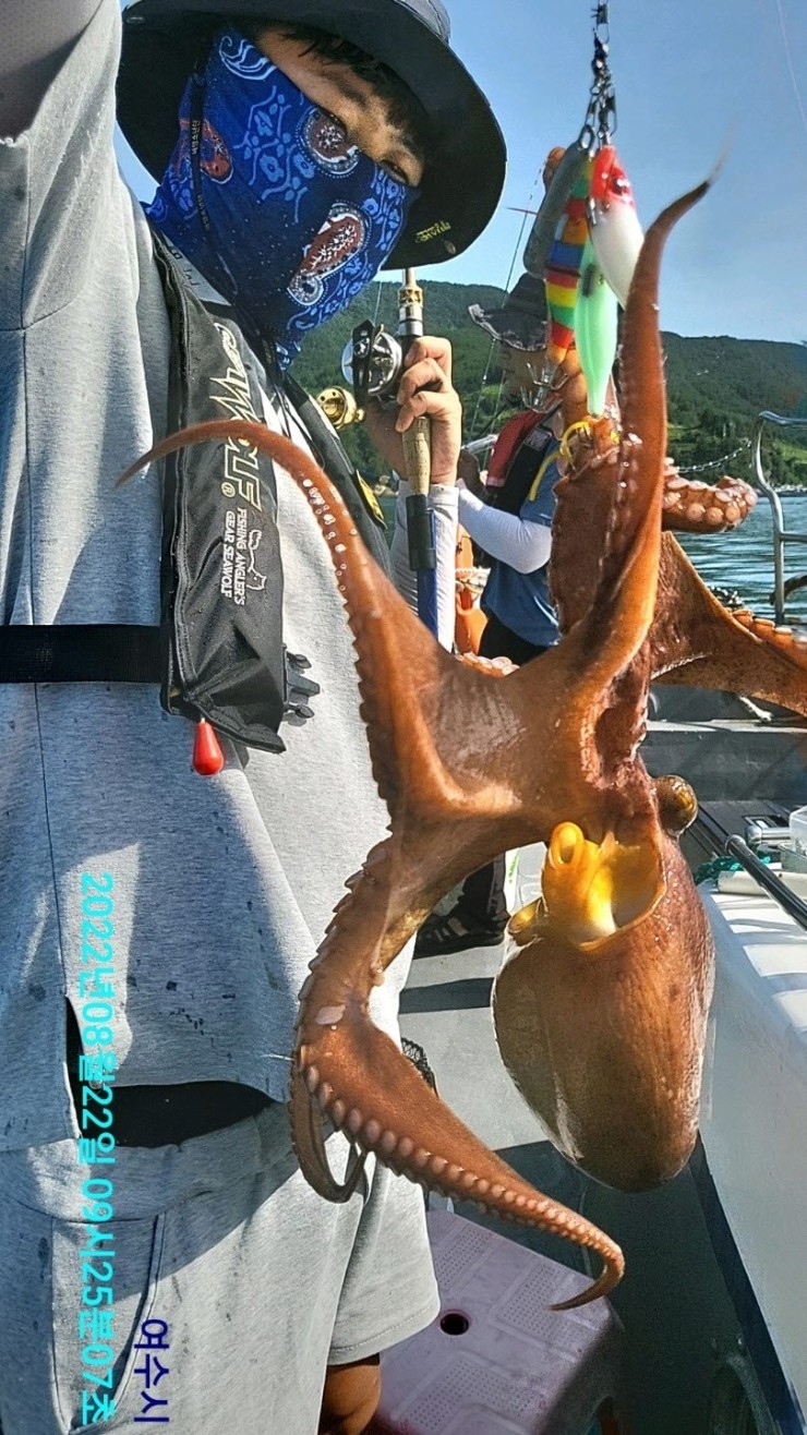 5진영호 이미지