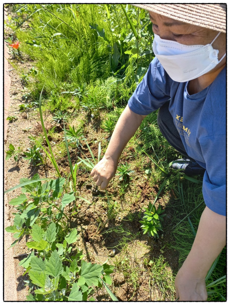 정원친구 이미지