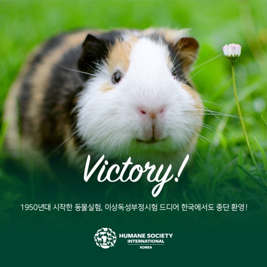 환영식품 이미지