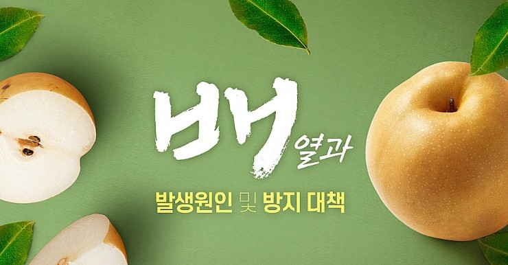 배*열 이미지