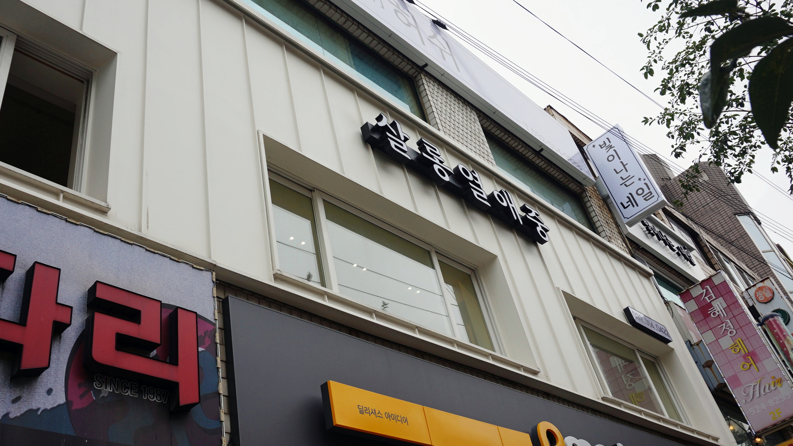 살롱열애중 이미지