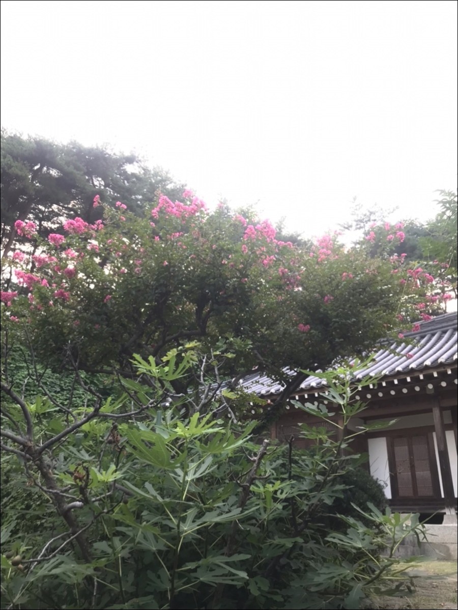 삼선고택 이미지