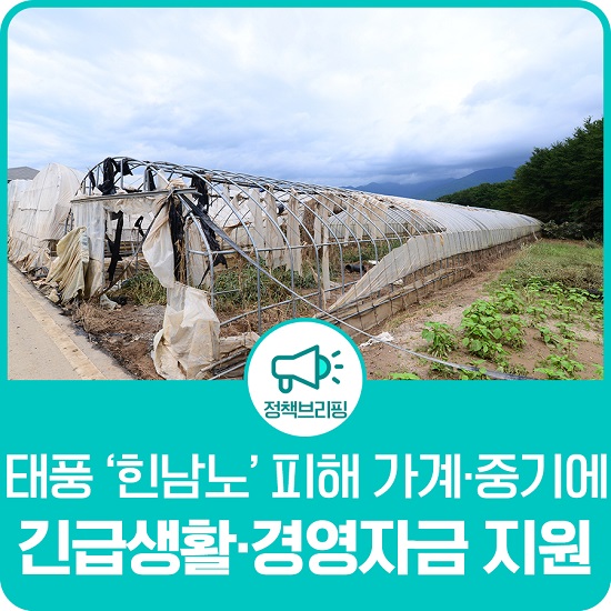 태풍중기 이미지