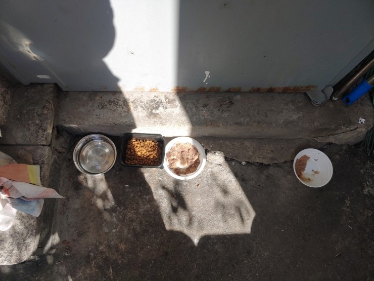 이쁜이식당 이미지