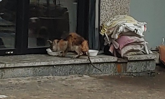 이쁜이식당 이미지