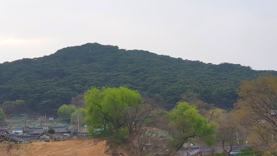 원심건축사사무소 이미지
