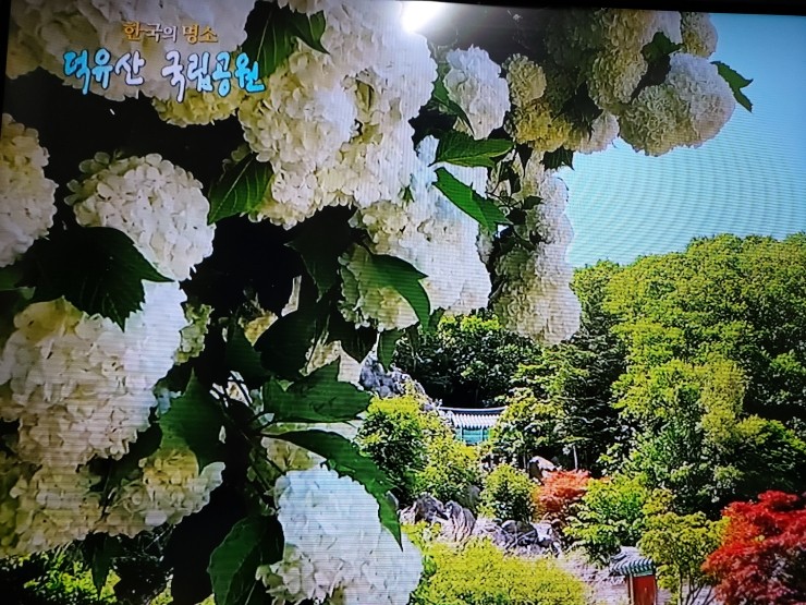 미래참푸드 이미지