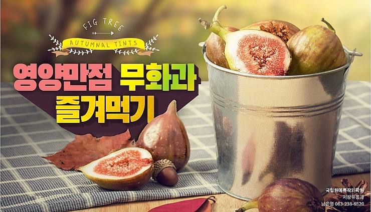 즐겨먹기 이미지