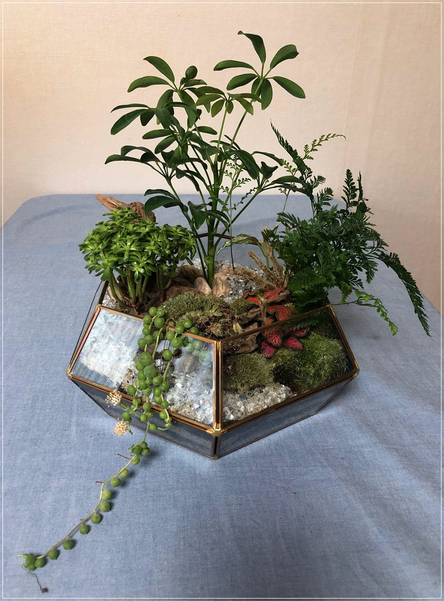 꽃과정원 이미지