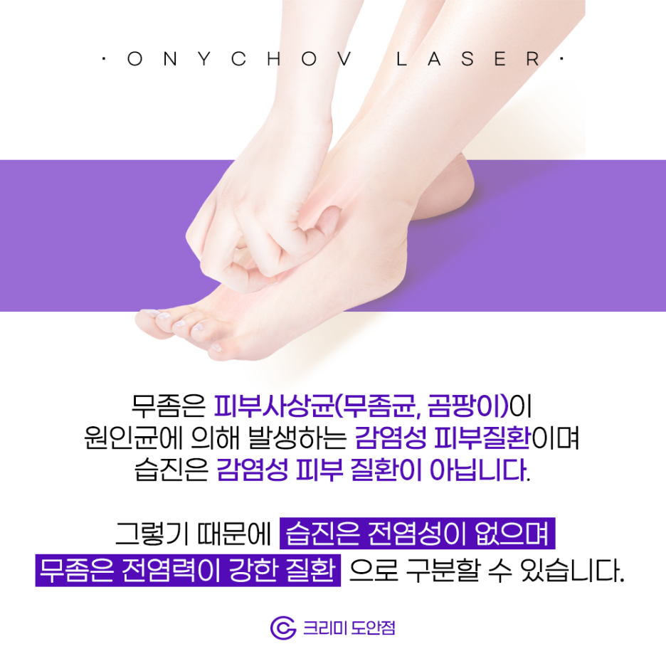도안크리미의원 이미지