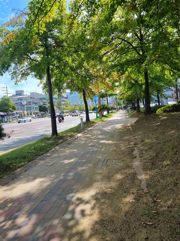 득량중학교 이미지