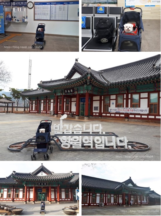 영월무인텔 이미지