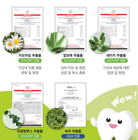 닥터세이지 이미지
