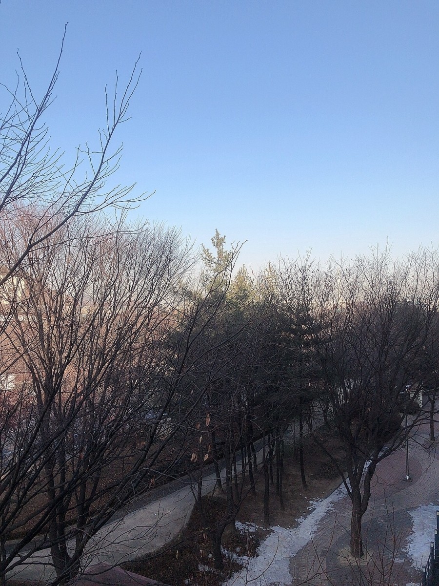 오션중학교 이미지