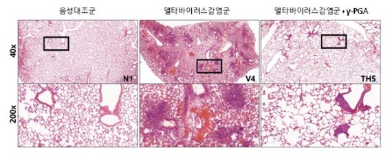 델타바이오2 이미지