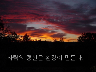 2-1.사람의_정신.jpg