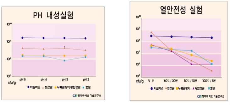 한중하이 이미지