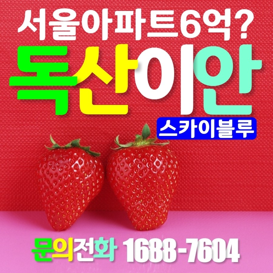 이안블루 이미지