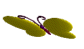 1.fly2.gif