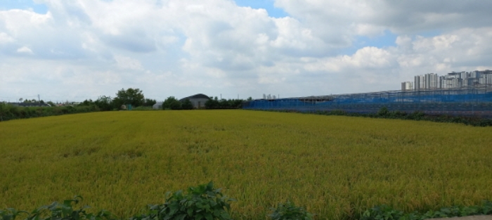 롯데쇼핑(주) 롯데마트평택점 이미지