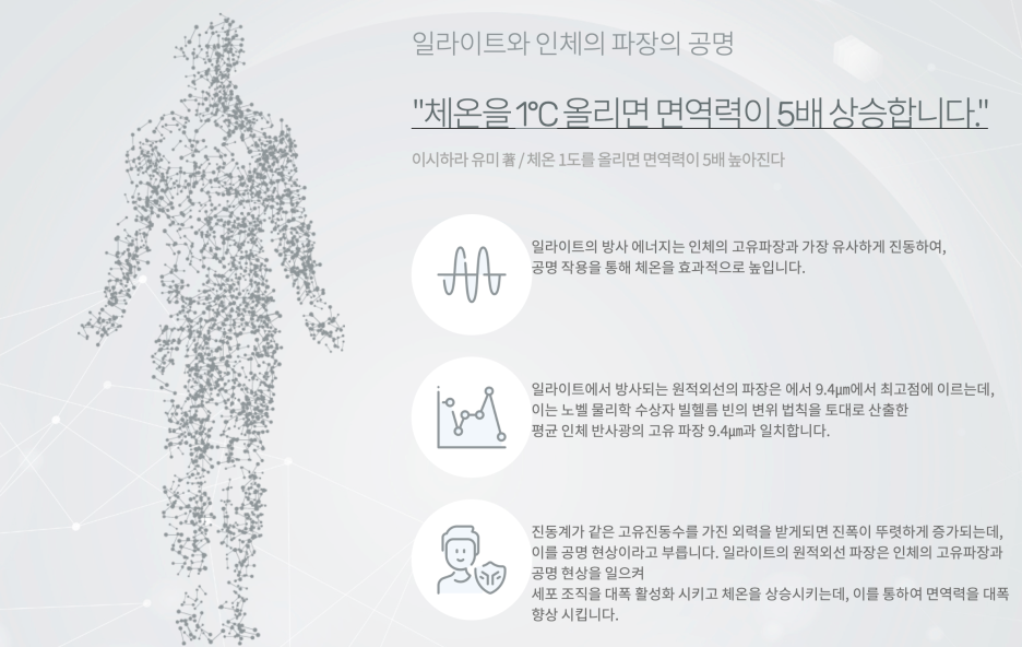수목토일라이트예산 이미지