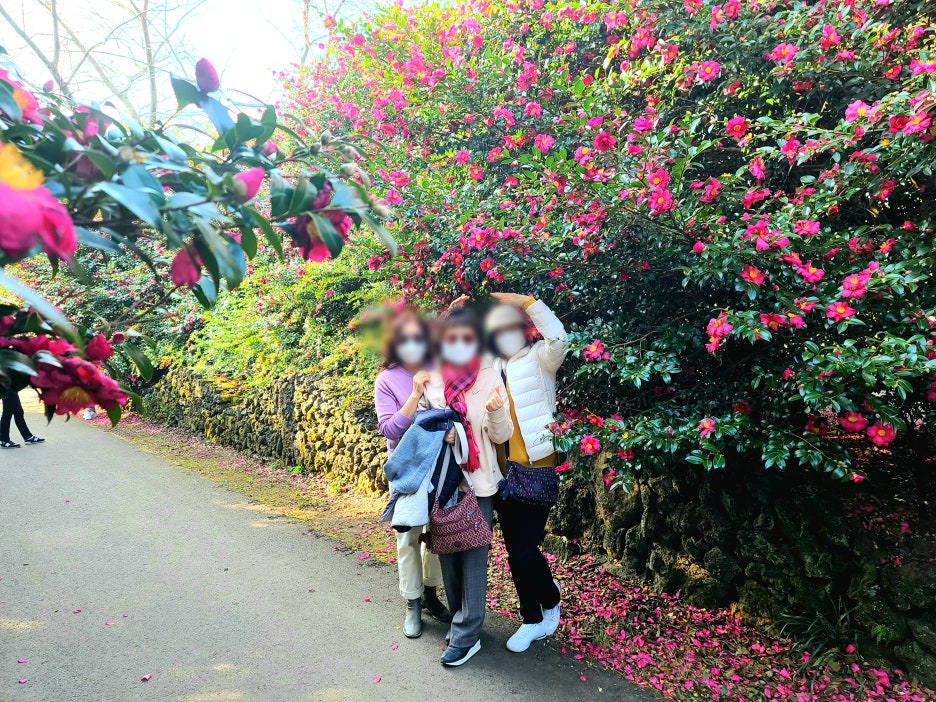 여행친구투어 이미지