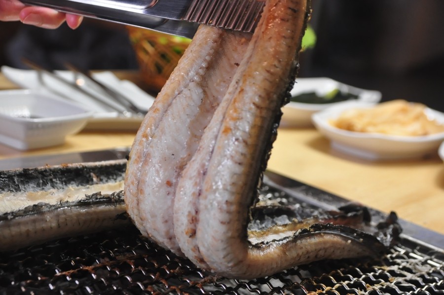 오포장어마을 이미지