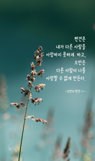 2-1.명언_댓글-2.png