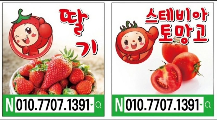 보명기획 이미지