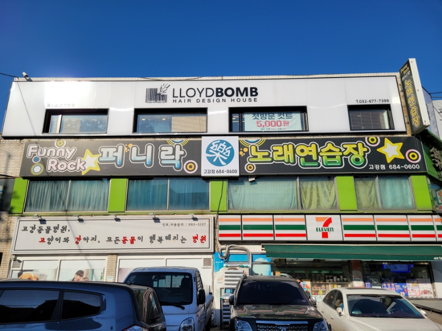로이드밤고강점 이미지