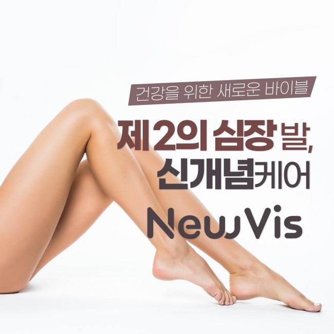 뉴비스 이미지