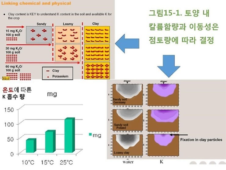 세기비료 이미지