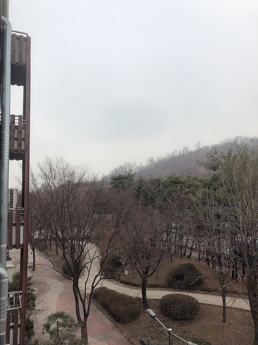 대진오리 이미지