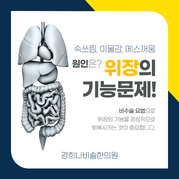 속편안내과 이미지