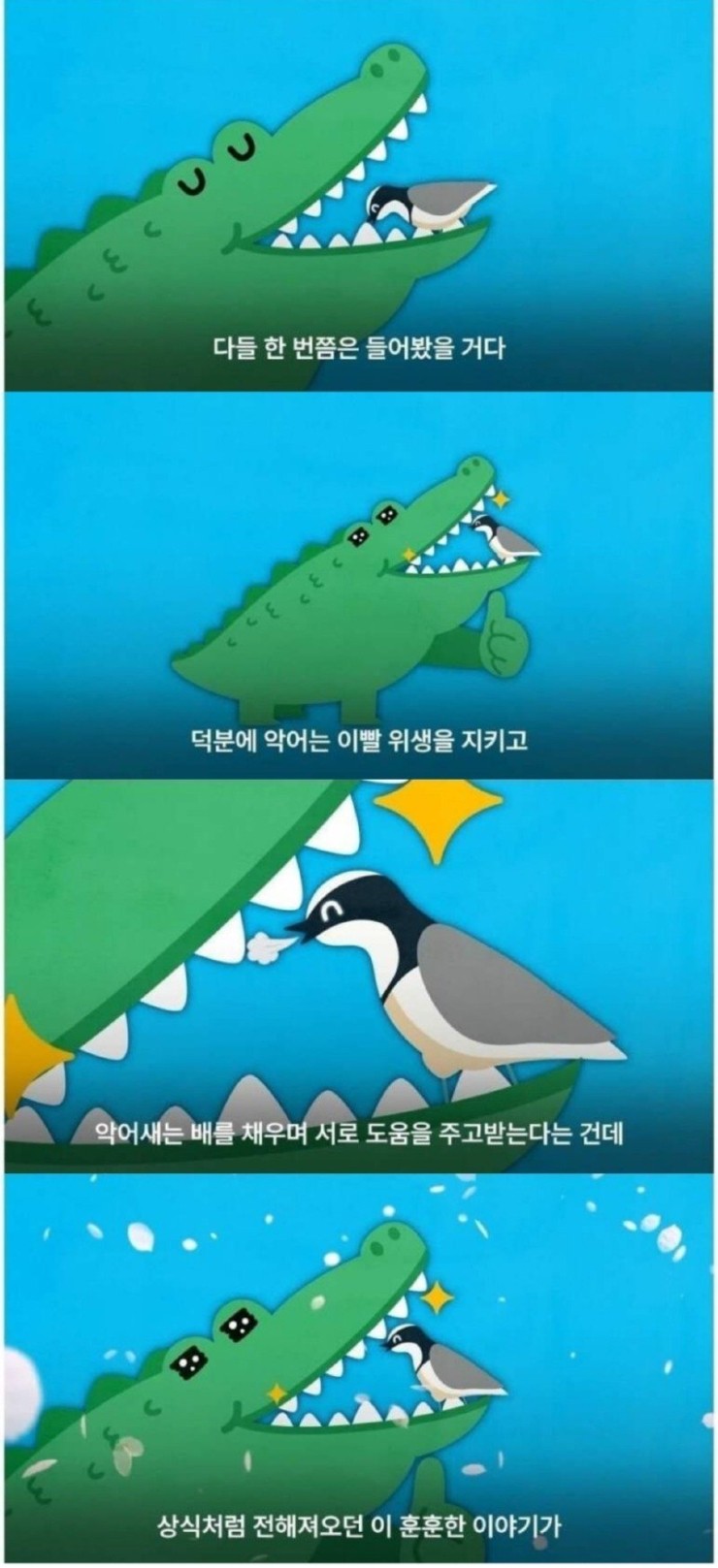 악어새 이미지