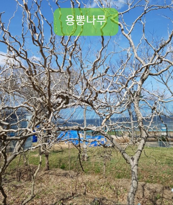 군위슈퍼 이미지