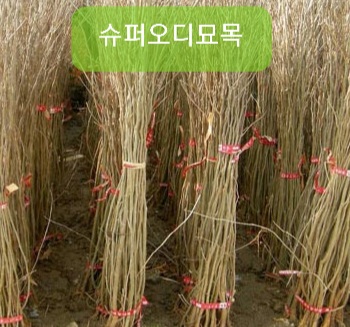 군위슈퍼 이미지