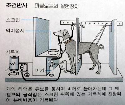 일강 이미지