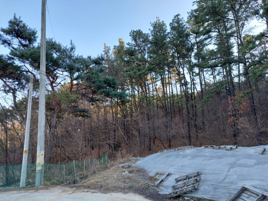 용인사 이미지