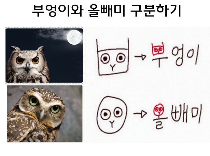 마네킹팩토리 이미지