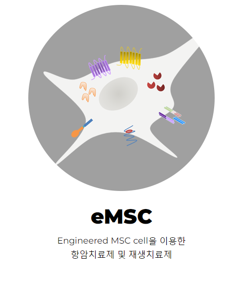 에스엘생명과학 이미지