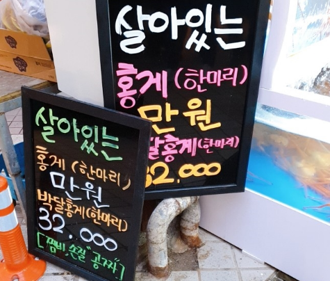 붉은태양맛집 이미지