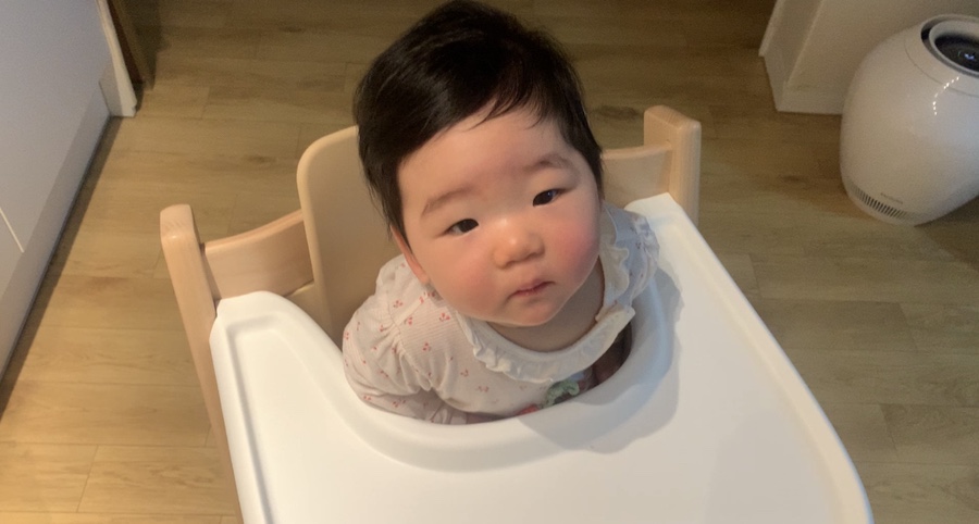 모도리베이비 이미지