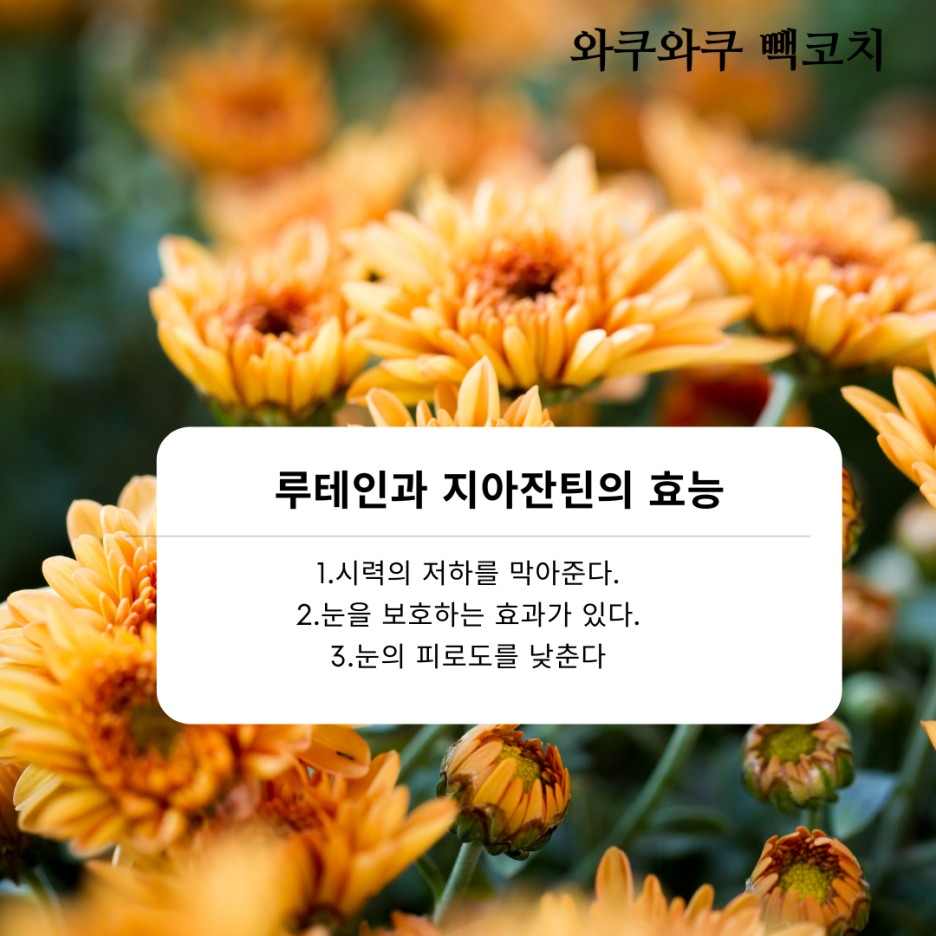 헬씨라이프 이미지