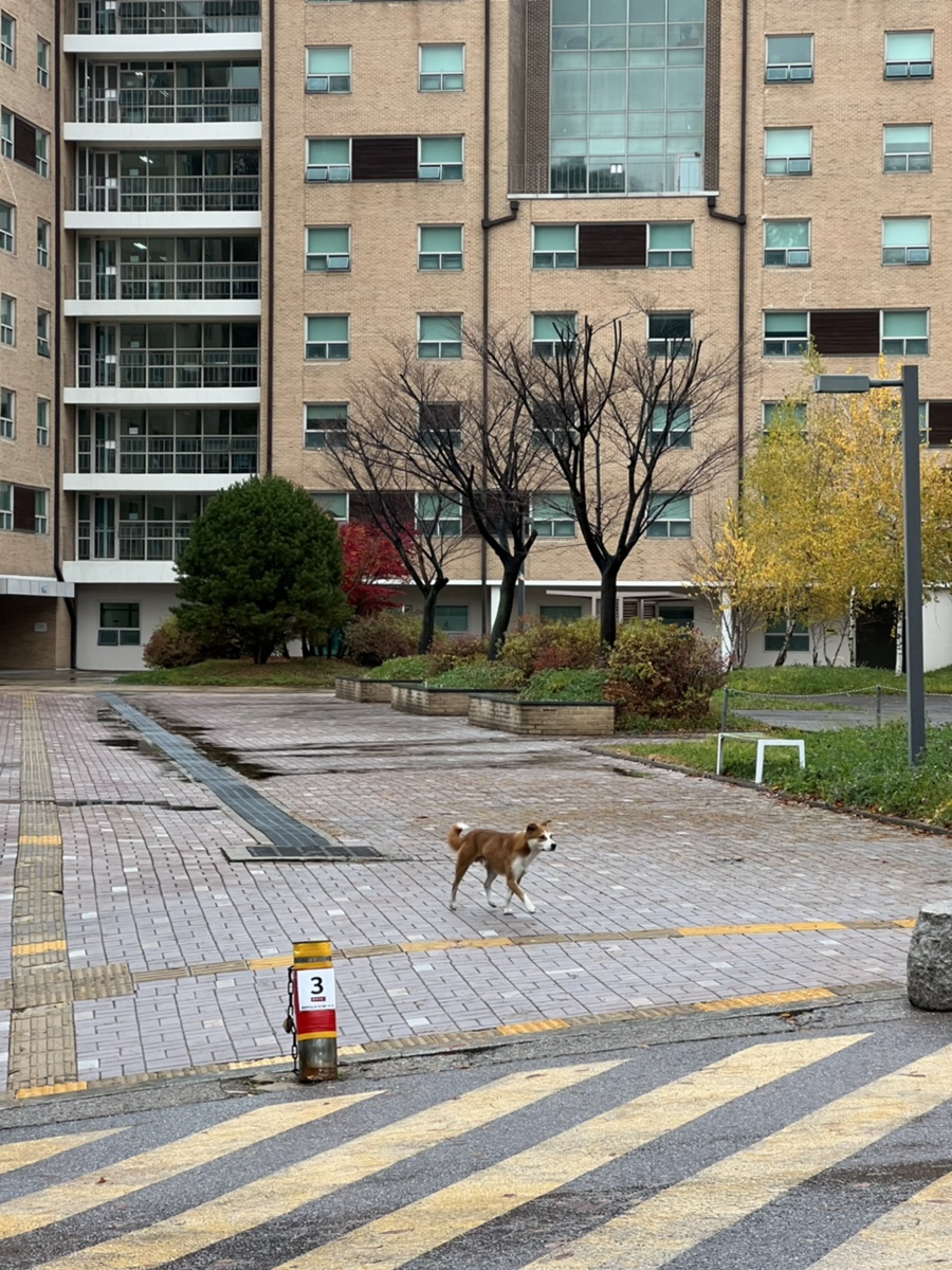 슈가노래연습장 이미지